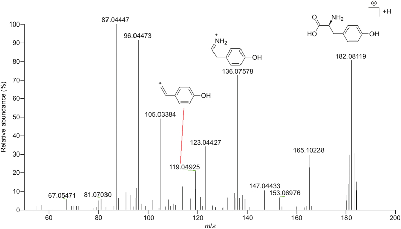 Fig. 4