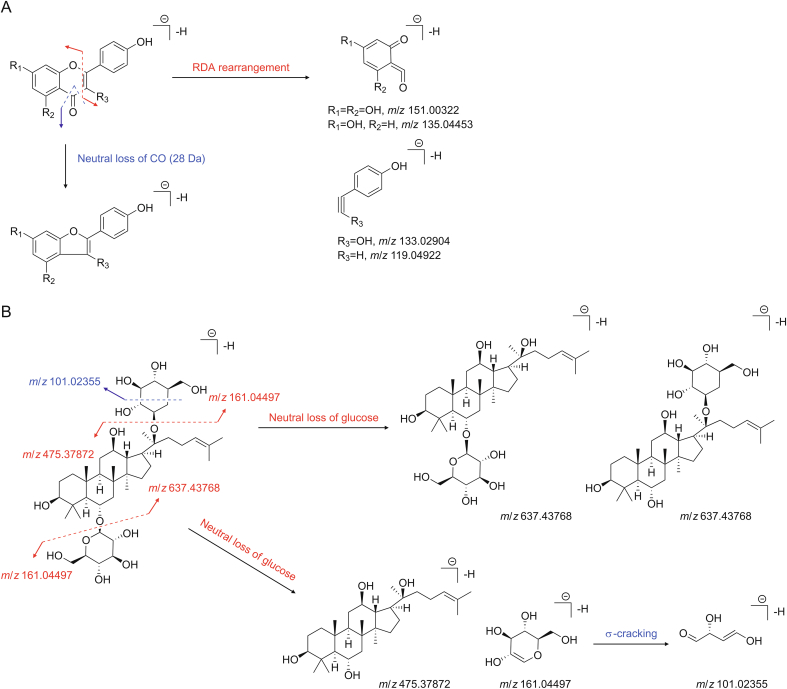 Fig. 2