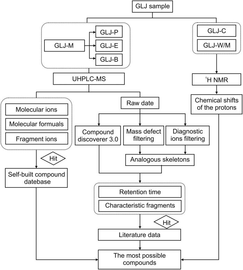 Fig. 1