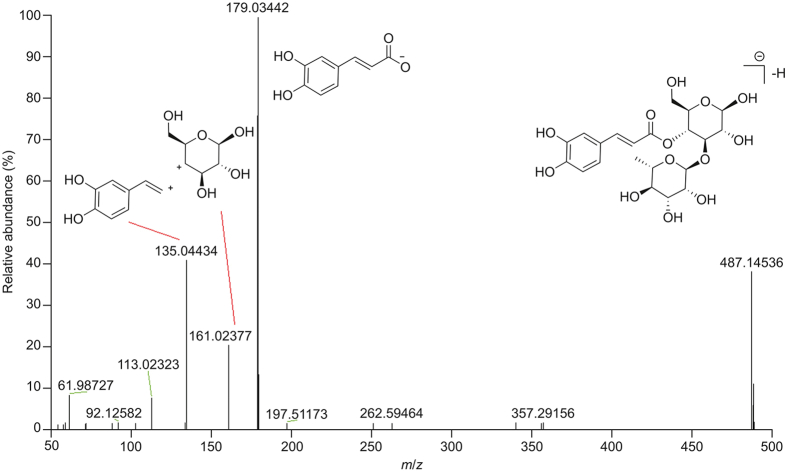 Fig. 6