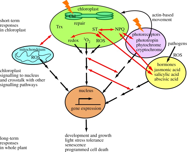 Figure 1.