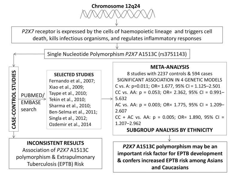 Fig. (1)