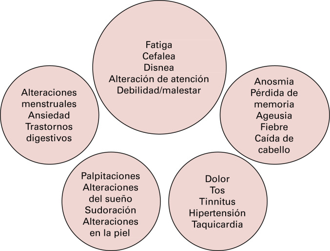 Figura 1