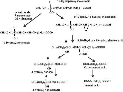 FIG. 5.