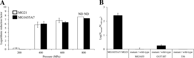 Fig 5