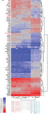Figure 3. Differential expression of genes in GAM following rapamycin and temozolomide treatment. Heatmap depicts hierarchical clustering of the top 100 PCA gene loadings in C20 GAM (co–cultivated) or...
