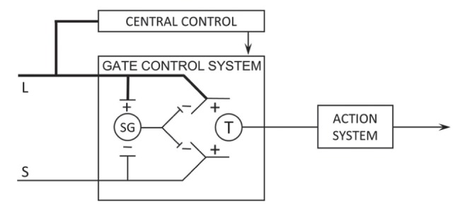 Figure 1)