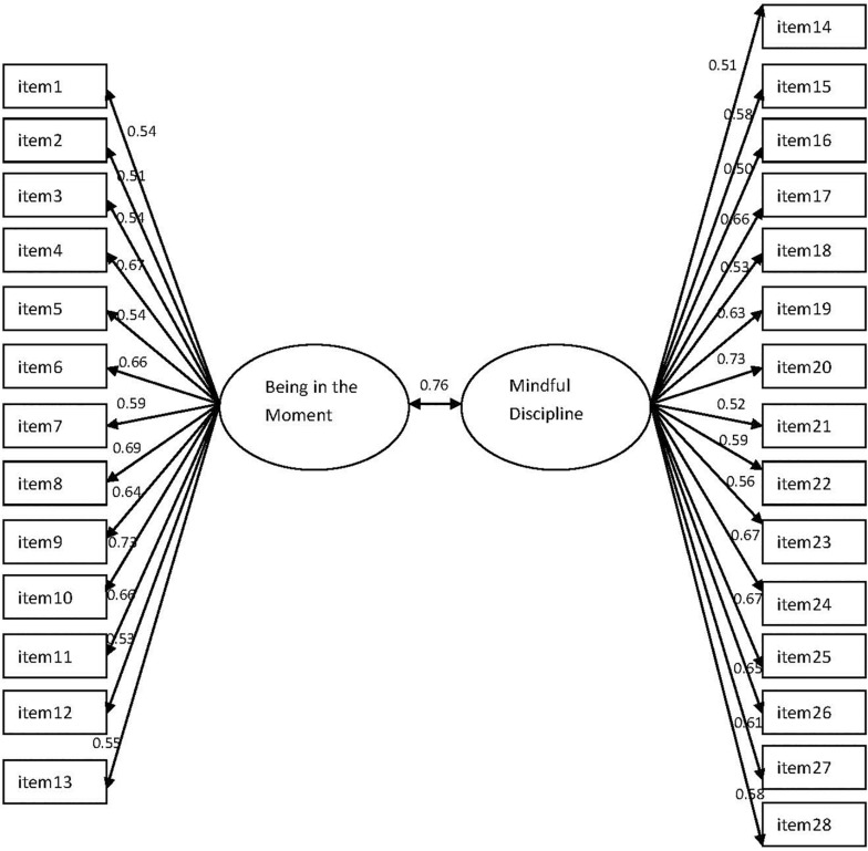 FIGURE 1