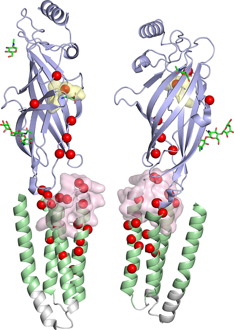 FIGURE 1: