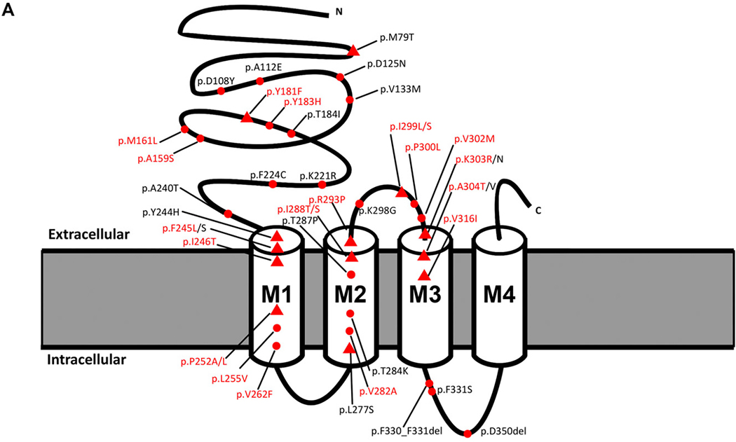 FIGURE 1: