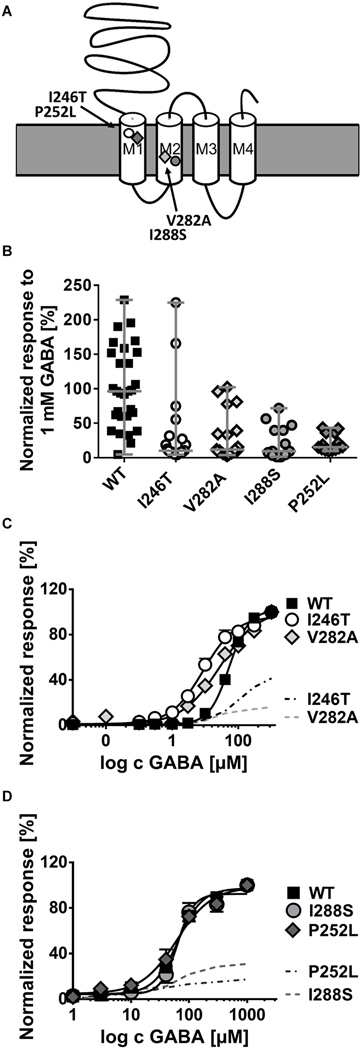 FIGURE 2: