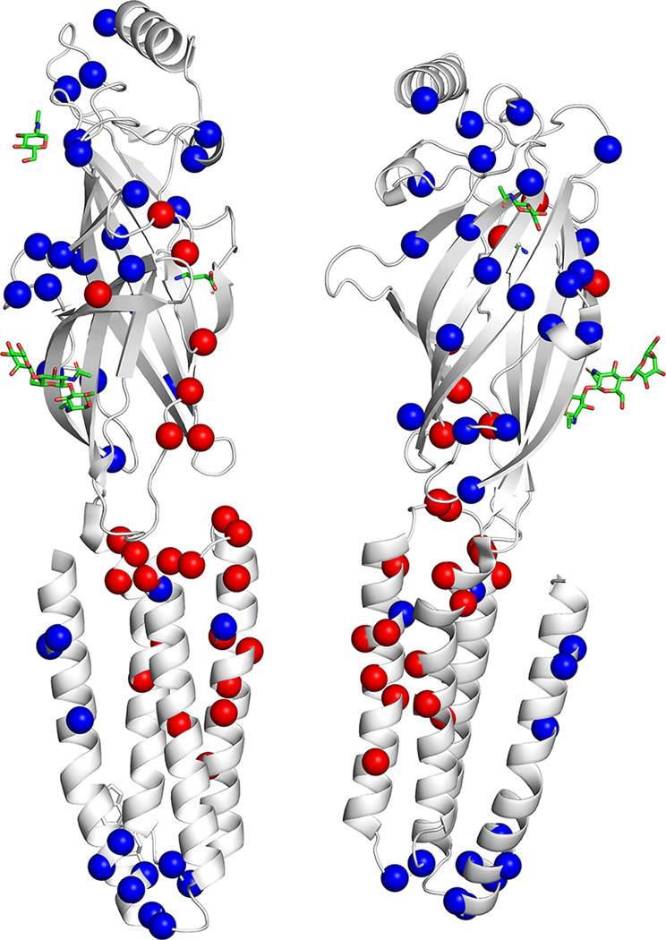 FIGURE 1: