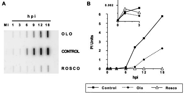 FIG. 6