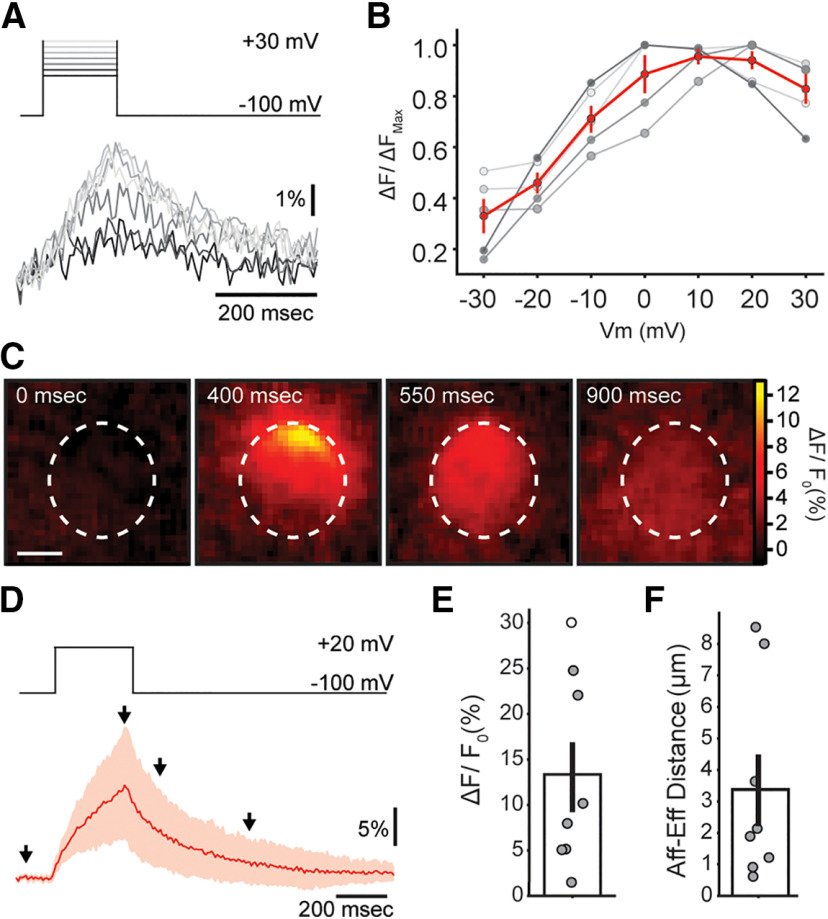 Figure 5.