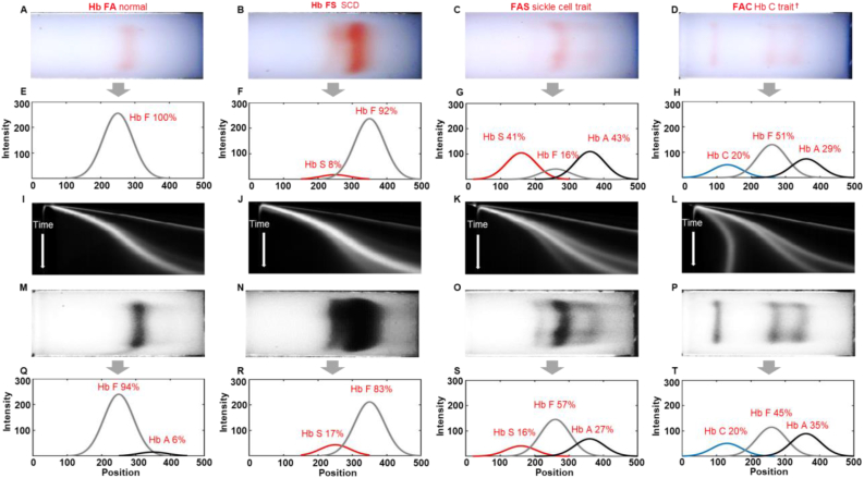 Figure 2