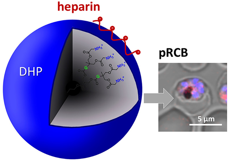 graphic file with name ap2c01553_0008.jpg