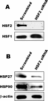 Fig 3.