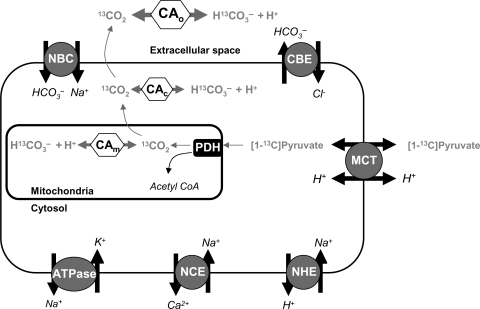 Figure 1