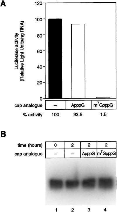 FIG. 6