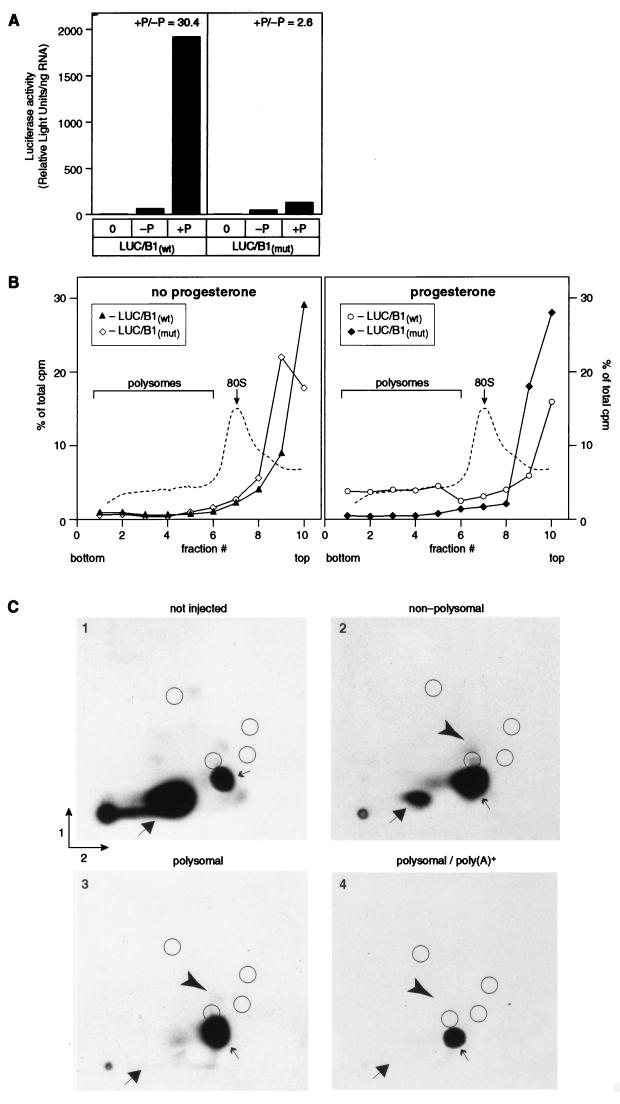 FIG. 8