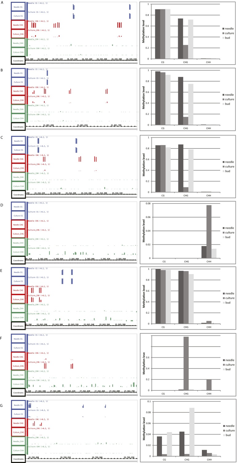 Fig. S9.