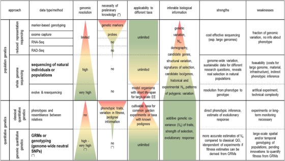 graphic file with name EVL3-4-4-g003.jpg