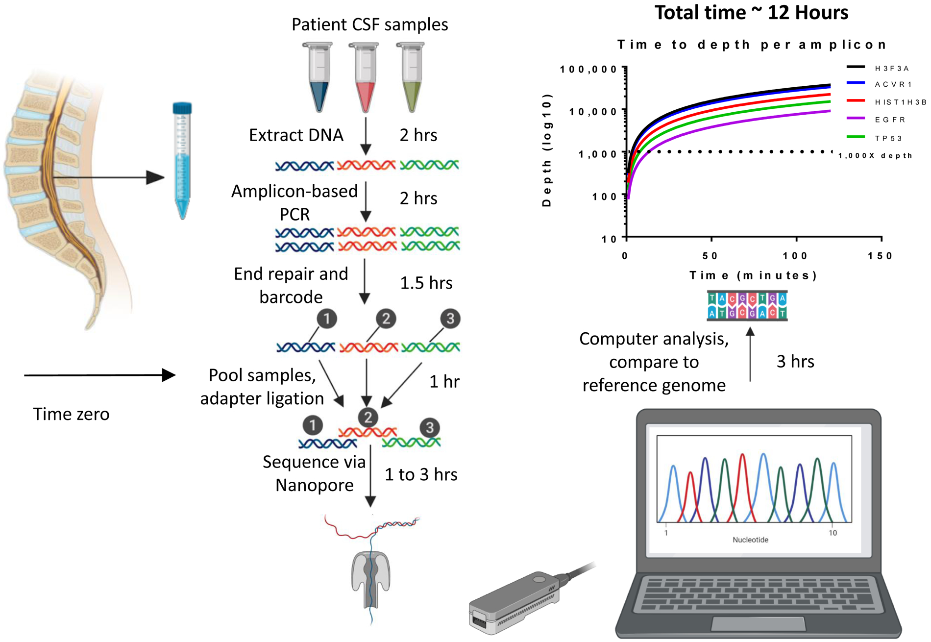 Electronic DNA analysis of CSF cell-free tumor DNA to quantify multi ...