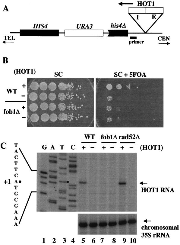 FIG. 5