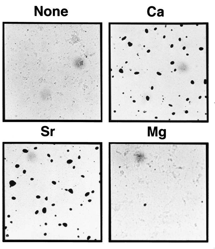 FIG. 6