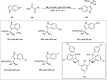 Scheme 20