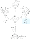 Scheme 23