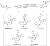 Scheme 37