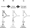 FIGURE 9: