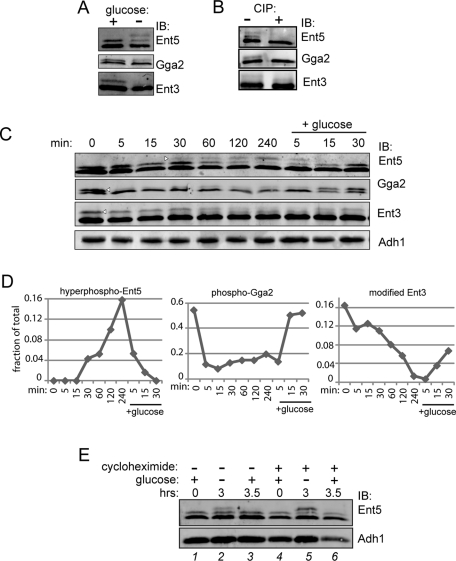 FIGURE 4: