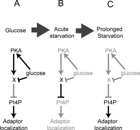 FIGURE 9: