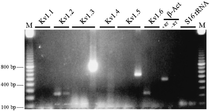 Fig. 9.