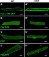 Fig 5