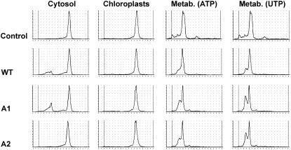 Figure 10.