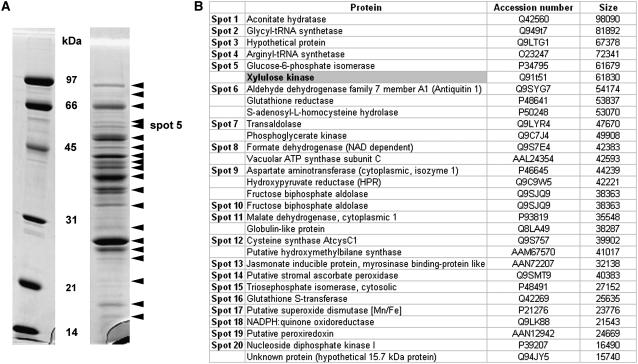 Figure 3.