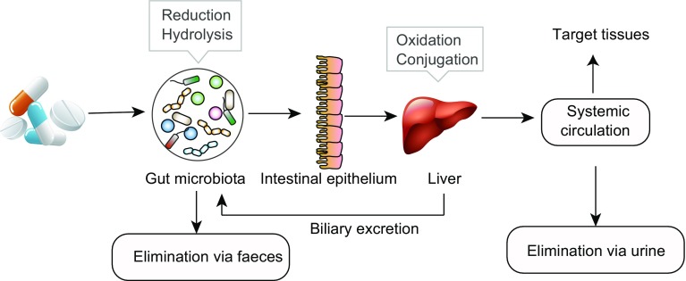 Figure 1