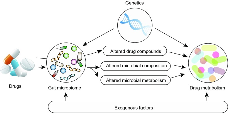 Figure 4