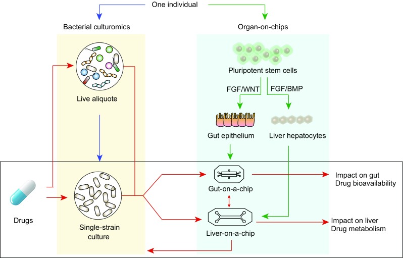 Figure 6