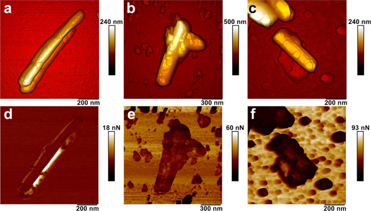 Figure 7