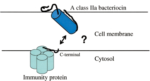 FIG. 5.