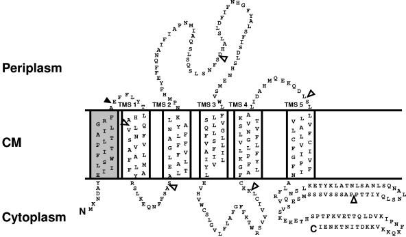 FIG. 6.