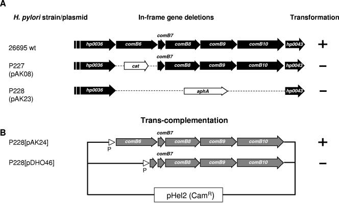 FIG. 4.