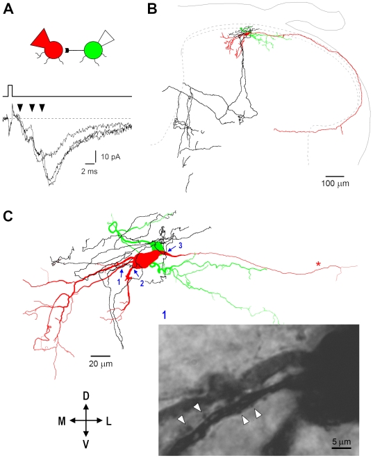 Figure 15