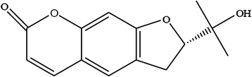 Fig. 10