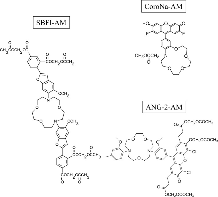 Fig. 2