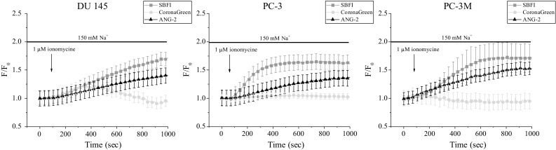 Fig. 7